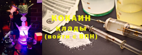 прущие грибы Алзамай