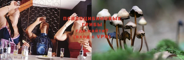 молекула духа Алексеевка