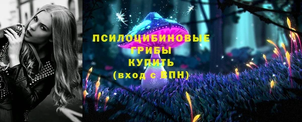 героин Алексин