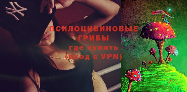 героин Алексин
