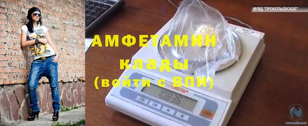 прущие грибы Алзамай