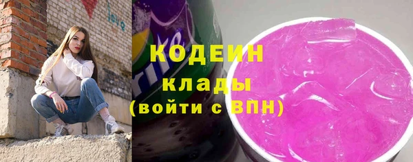 прущие грибы Алзамай