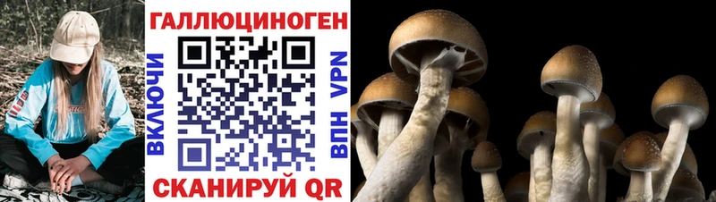 Псилоцибиновые грибы MAGIC MUSHROOMS Волгоград